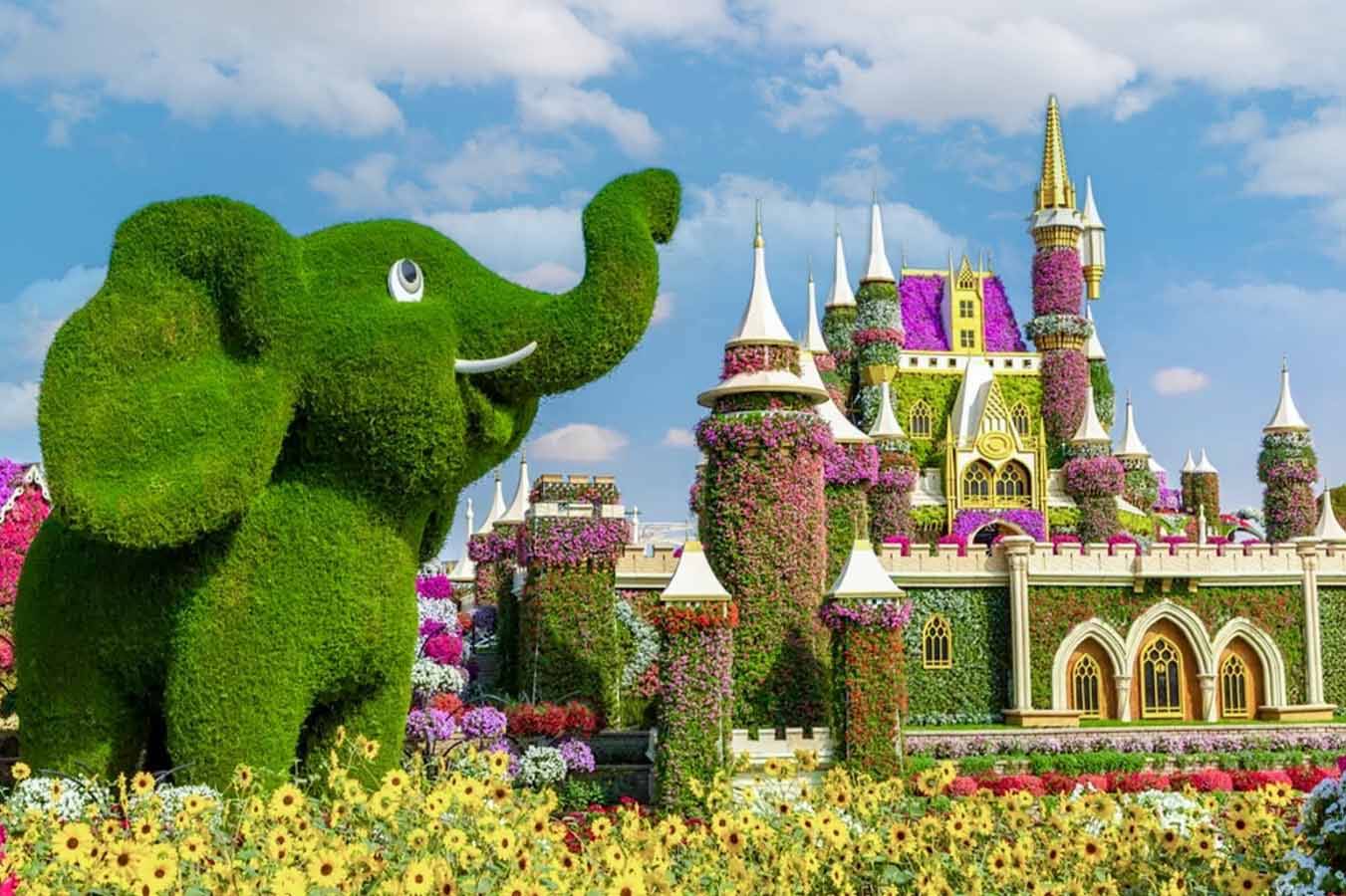 MIRACLE GARDEN ( ÇİÇEK BAHÇESİ )
