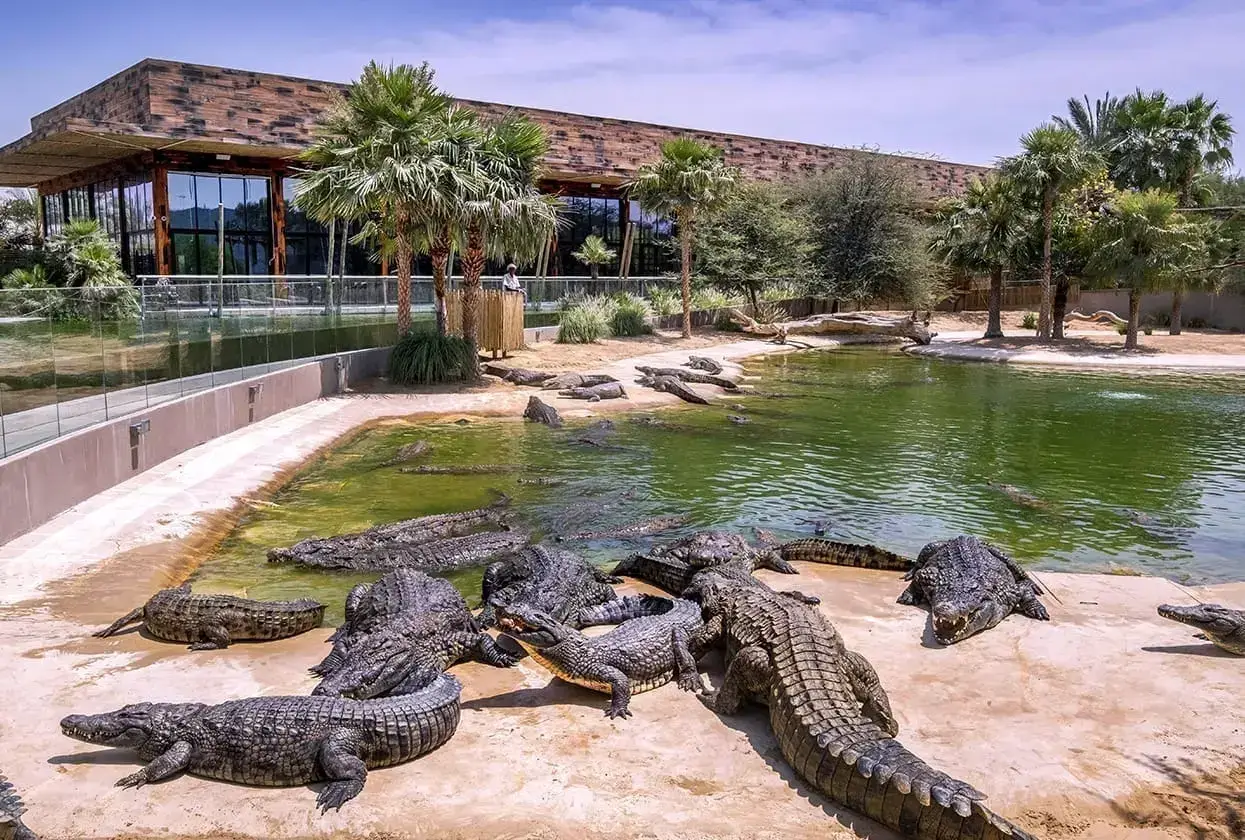 CROCODILE PARK DUBAI