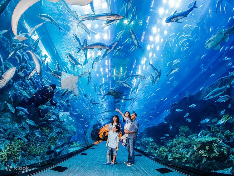 DUBAI AQUARIUM & UNDERWATER ZOO